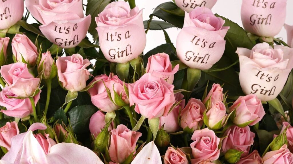 Batch 4 - 1 (59) - slider-1920x1080