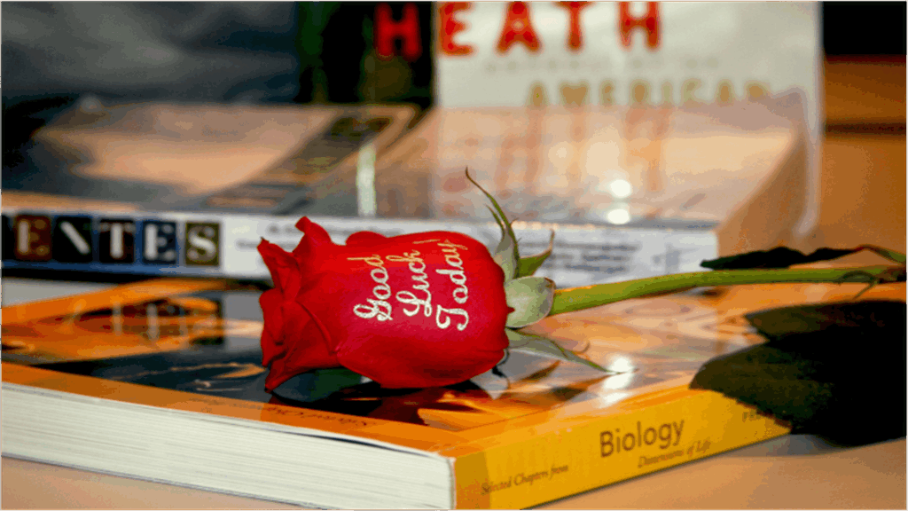 resized_flower_1920x1080